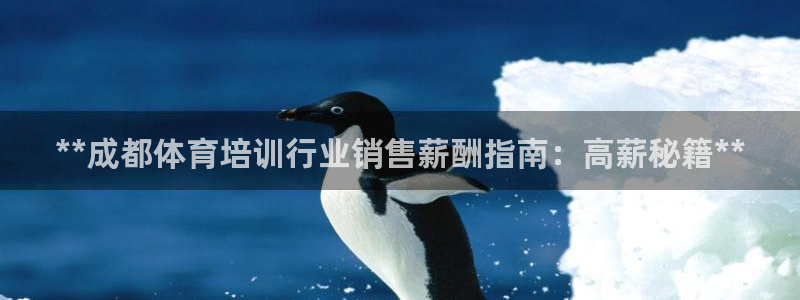 焦点娱乐平台注册账号：**成都体育培训行业销售薪酬指