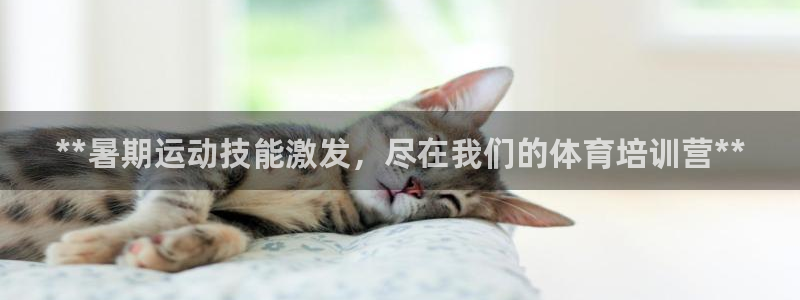 焦点娱乐app下载官网：**暑期运动技能激发，尽在我