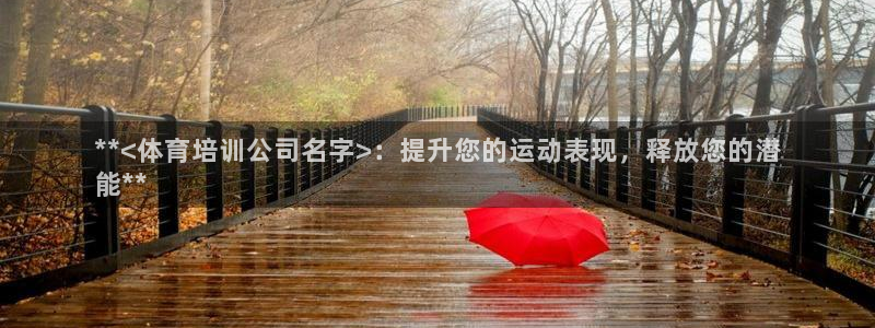焦点娱乐公司的发展历程：**<体育培训公司名字>：提