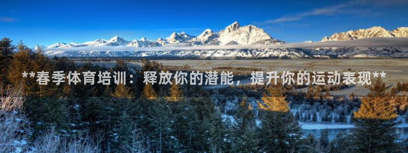 焦点娱乐传媒有限公司怎么样呀：**春季体育培训：释放