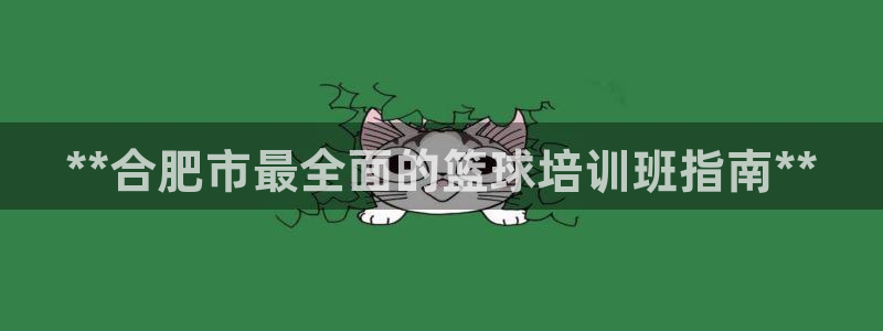 焦点娱乐传媒有限公司是干嘛的：**合肥市最全面的篮球