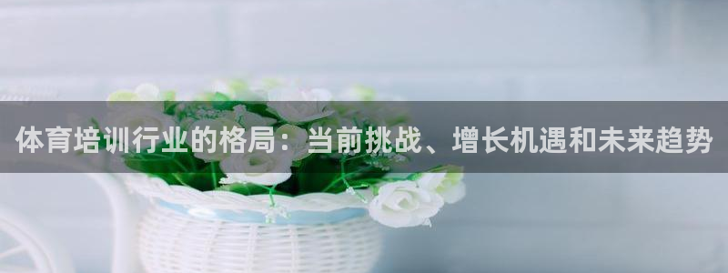 焦点娱乐平台斯7O777：体育培训行业的格局：当前挑