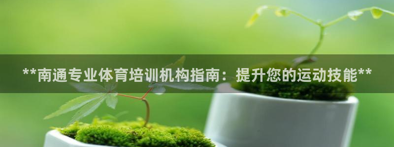 焦点娱乐官方网站下载手机版苹果