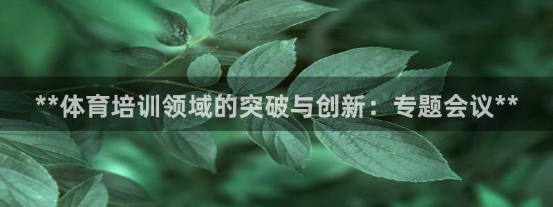 焦点娱乐如何注册账号：**体育培训领域的突破与创新：