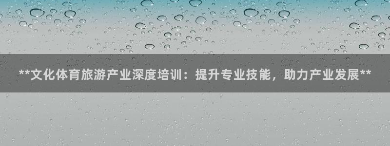 焦点娱乐平台新7O777：**文化体育旅游产业深度培