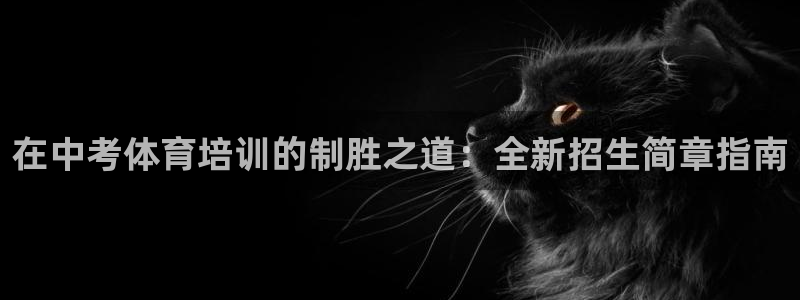 焦点娱乐app下载官网苹果：在中考体育培训的制胜之道