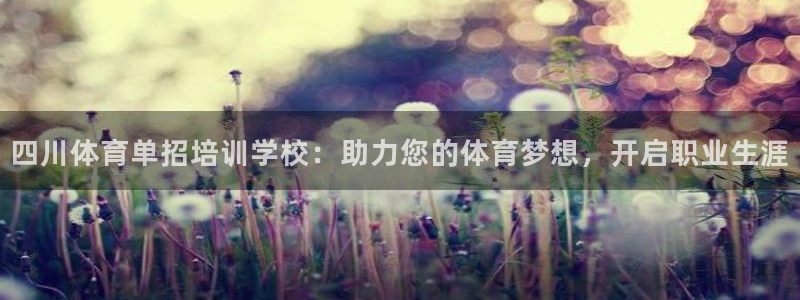 焦点娱乐全国总冠军都有谁：四川体育单招培训学校：助力