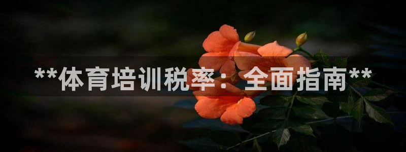 焦点娱乐平台最高待遇：**体育培训税率：全面指南**