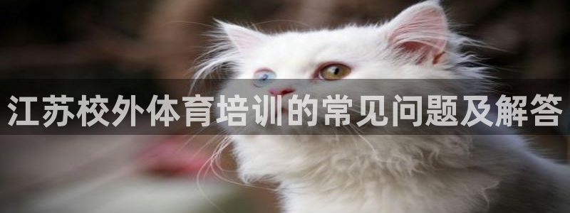 焦点娱乐全国总冠军都有谁：江苏校外体育培训的常见问题