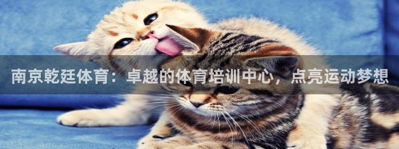 焦点娱乐会所：南京乾廷体育：卓越的体育培训中心，点亮