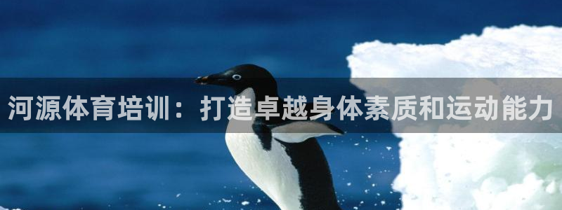 焦点娱乐平台怎么样赚钱：河源体育培训：打造卓越身体素