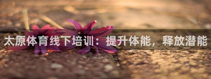 焦点娱乐传媒有限公司怎么样：太原体育线下培训：提升体