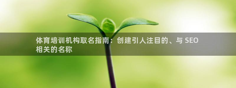 焦点娱乐平台是正规的吗安全吗可靠吗：体育培训机构取名
