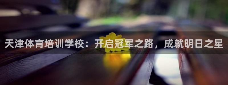 焦点娱乐如何注册账号：天津体育培训学校：开启冠军之路