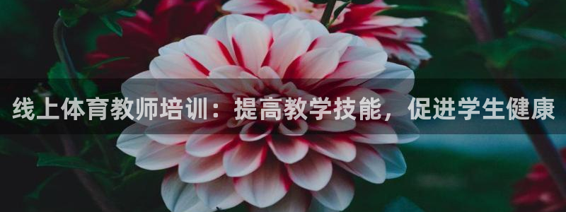 焦点娱乐传媒有限公司是干嘛的啊：线上体育教师培训：提