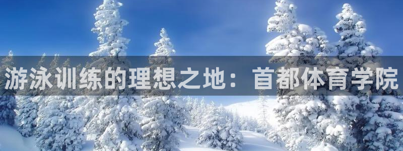 焦点娱乐官方网站下载安装手机版