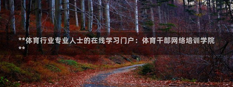 焦点娱乐平台注册账号：**体育行业专业人士的在线学习