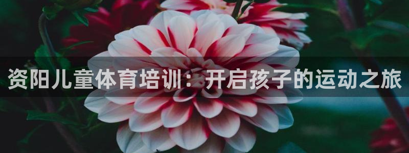焦点娱乐平台续7O777：资阳儿童体育培训：开启孩子