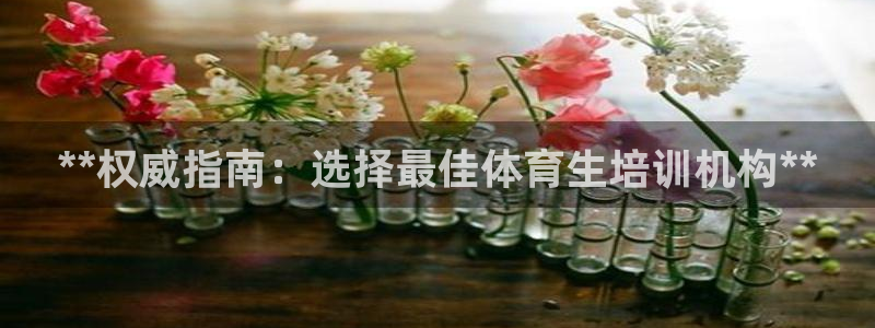 焦点娱乐官网下载安装苹果版：**权威指南：选择最佳体