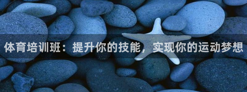 焦点娱乐软件版本大全