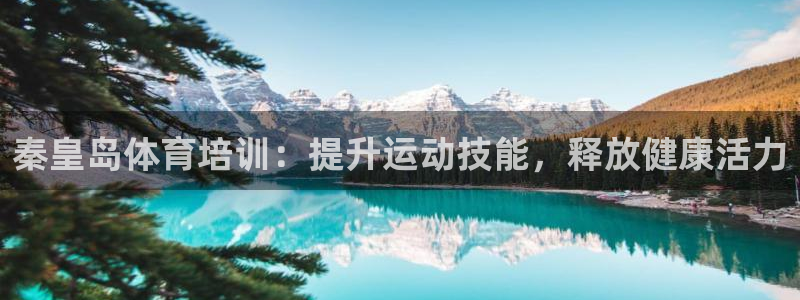 焦点娱乐游戏：秦皇岛体育培训：提升运动技能，释放健康