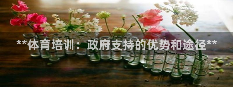 焦点娱乐平台客服电话号码是多少：**体育培训：政府支