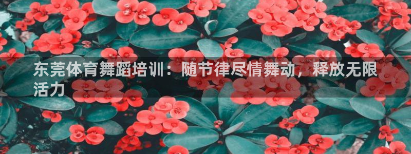 焦点娱乐平台新7O777：东莞体育舞蹈培训：随节律尽