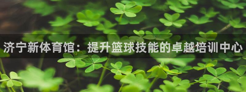 焦点娱乐直属：济宁新体育馆：提升篮球技能的卓越培训中