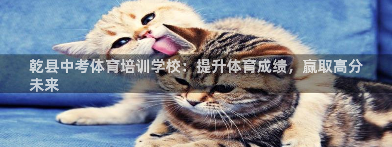 焦点娱乐传媒有限公司是干嘛的：乾县中考体育培训学校：