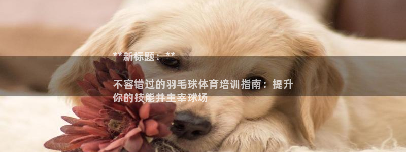 焦点娱乐平台客服电话：**新标题：**

不容错过的