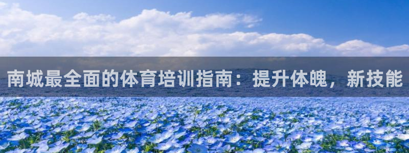 焦点娱乐平台最高待遇：南城最全面的体育培训指南：提升