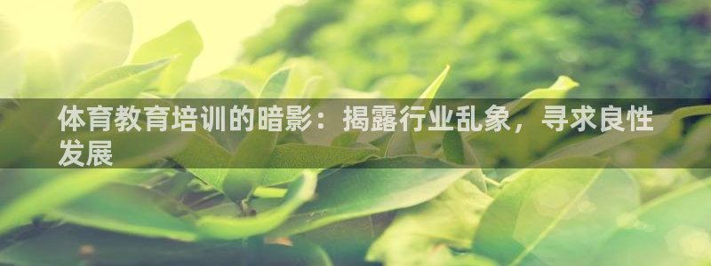 焦点娱乐vs皇族不败神话下载：体育教育培训的暗影：揭