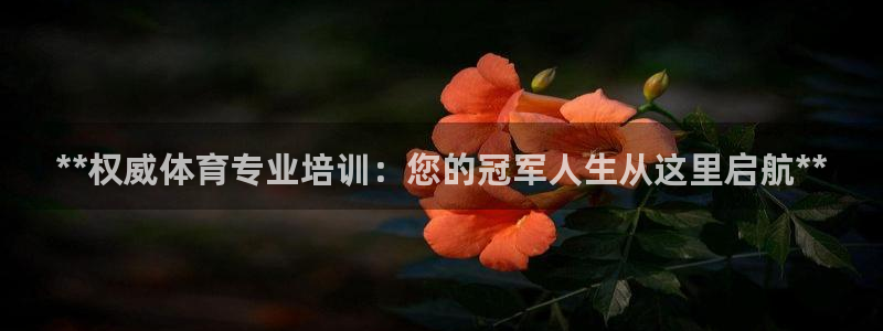 焦点娱乐app下载安装方式是什么：**权威体育专业培