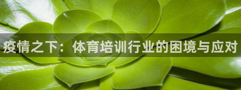 焦点娱乐股东是谁：疫情之下：体育培训行业的困境与应对