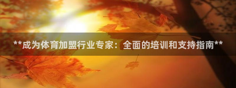 焦点平台娱乐：**成为体育加盟行业专家：全面的培训和