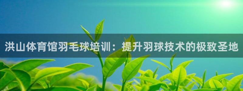 焦点娱乐传媒有限公司：洪山体育馆羽毛球培训：提升羽球