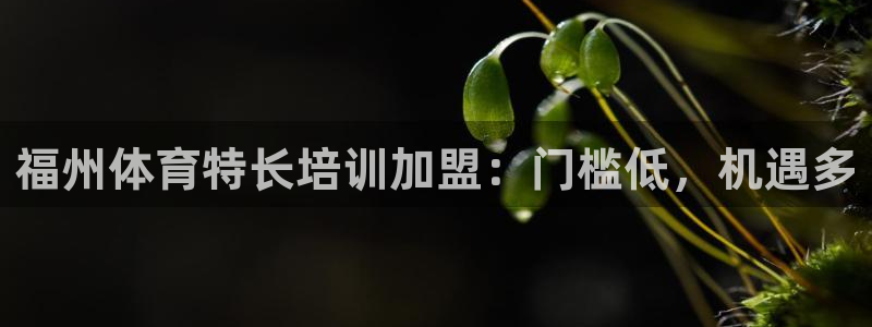 焦点娱乐财神：福州体育特长培训加盟：门槛低，机遇多
