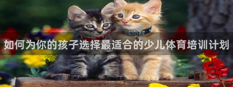 焦点娱乐官方网站下载安装最新版：如何为你的孩子选择最