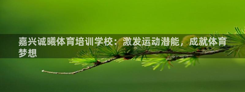 焦点娱乐会所：嘉兴诚曦体育培训学校：激发运动潜能，成