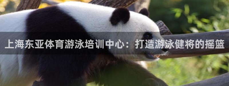 焦点娱乐官网首页下载手机版：上海东亚体育游泳培训中心