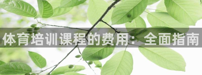 焦点娱乐app下载安装苹果：体育培训课程的费用：全面