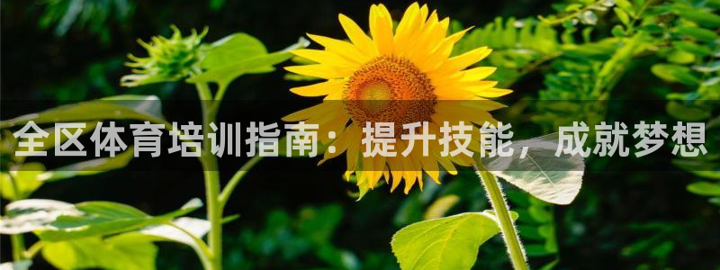 焦点娱乐官网下载安装最新版本：全区体育培训指南：提升