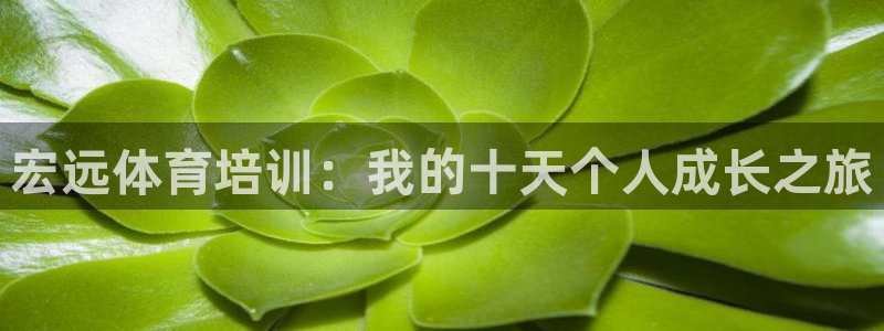 焦点娱乐平台是正规的吗：宏远体育培训：我的十天个人成