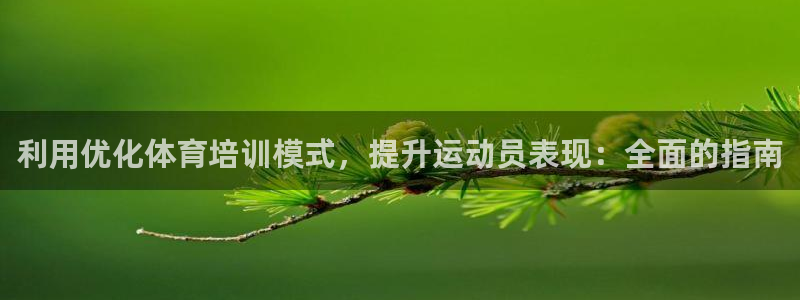 焦点娱乐传媒有限公司是干嘛的啊：利用优化体育培训模式