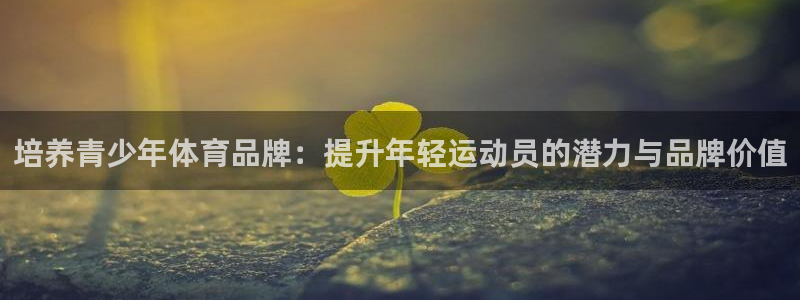 焦点娱乐无法提现怎么办：培养青少年体育品牌：提升年轻