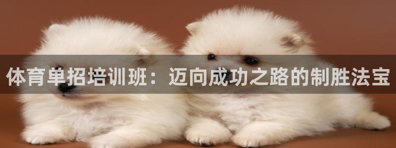 焦点娱乐官方网站首页下载手机版：体育单招培训班：迈向