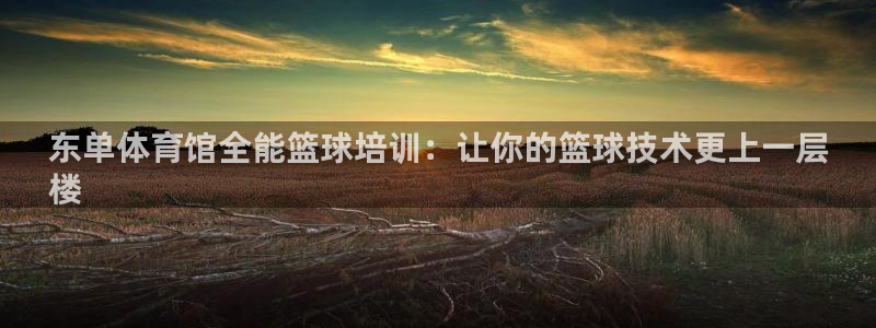 焦点娱乐是哪个公司的品牌：东单体育馆全能篮球培训：让