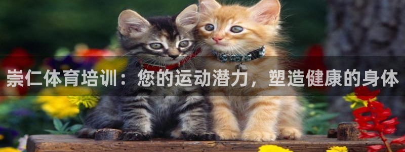 焦点娱乐皮皮虾：崇仁体育培训：您的运动潜力，塑造健康