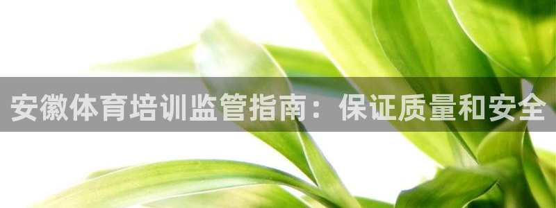 焦点娱乐平台总代理开户怎么样：安徽体育培训监管指南：