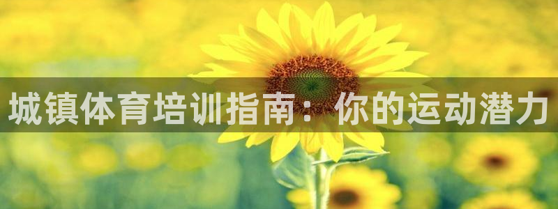 焦点娱乐平台最高待遇：城镇体育培训指南：你的运动潜力